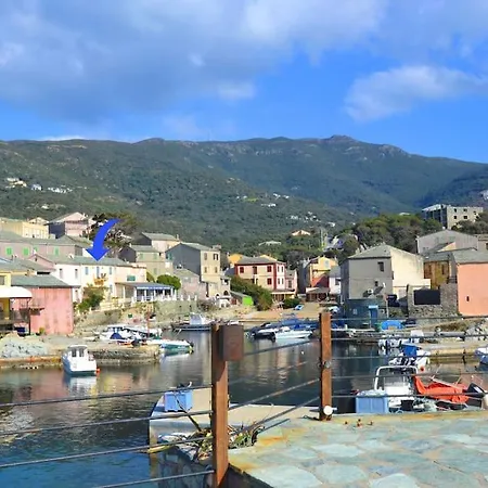 Maison De Charme Sur Le Port De Centuri Centuri